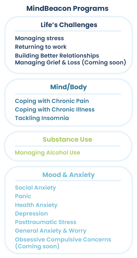 Types of guided programs