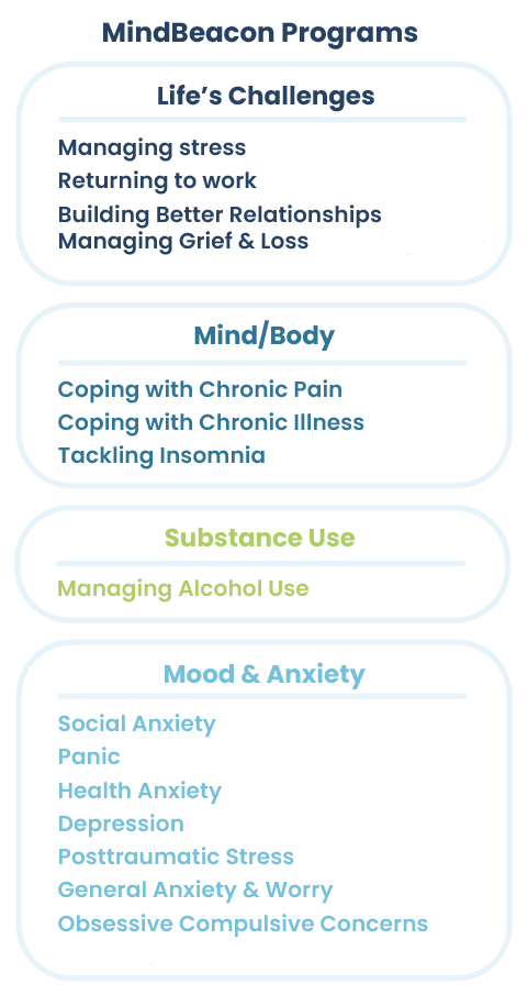Types of guided programs